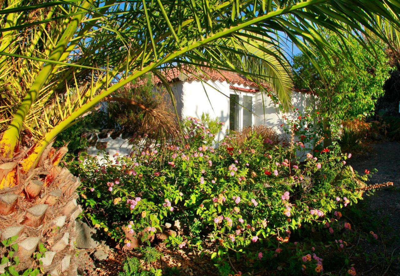 Finca Cosmos El Paso Zewnętrze zdjęcie